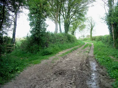 Bridleway and footpath