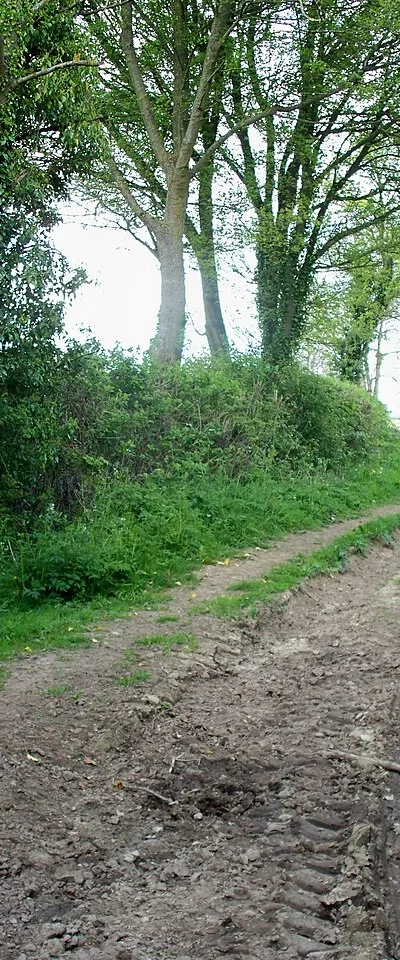 Bridleway and footpath