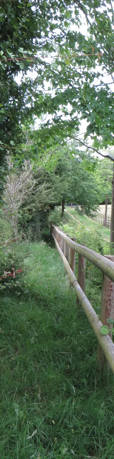 Absurdly narrow and overgrown footpath by the drive to Tower Farm