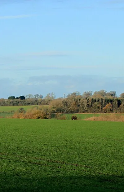2011 : West near the minor road through Ram Alley
