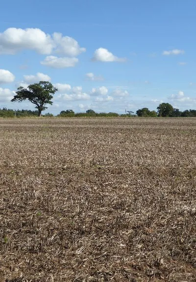 A harvested field at High Green