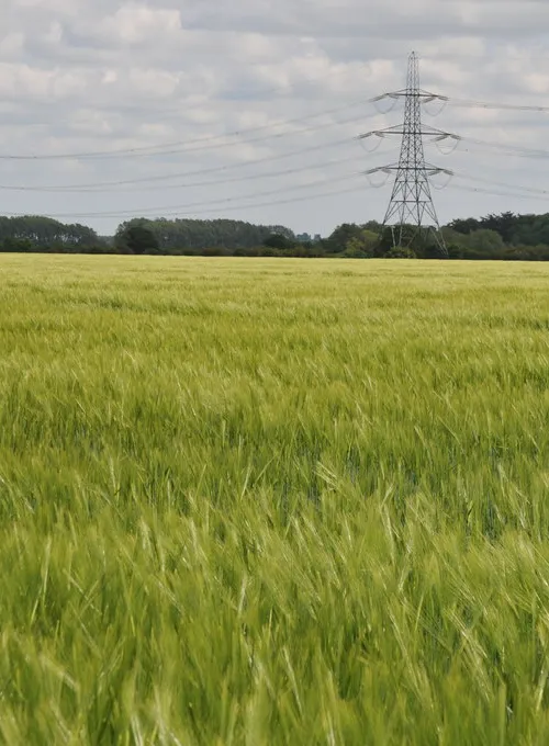 Carswell Marsh