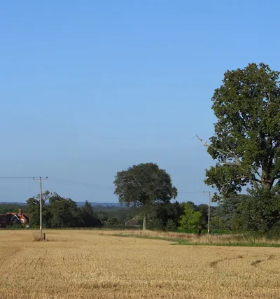 Farmland, West Woodhay A harvested field to the east of the church.