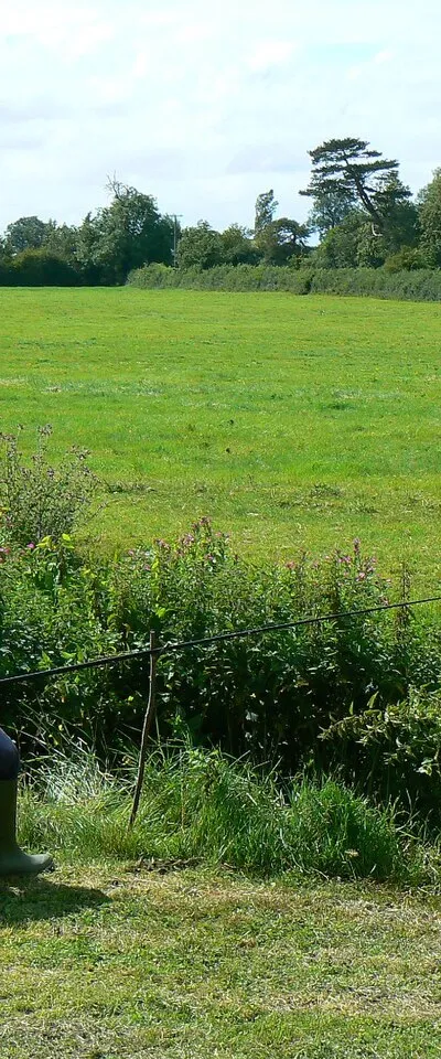 Farmland and an angler, Purton Stoke