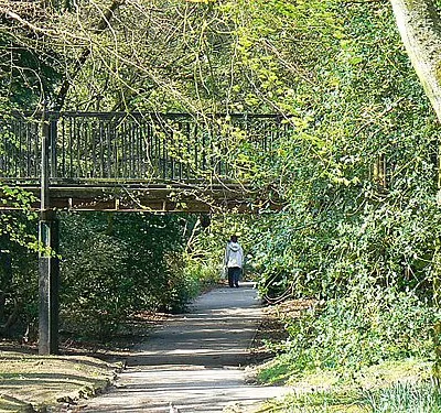 A footpath through Town Gardens, Swindon The park was once a limestone quarry. It has been a park since 1894 when the then Council opened the park having purchased it from the owners, the Goddard family, the Lords of the Manor. More here http://www.swindon.gov.uk/leisuresport/parksandgardens/leisure-parkstowngardens.htm