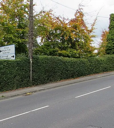 Directions sign in a Bath Road hedge, Stroud
