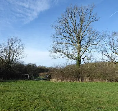 Distillery Meadows Nature Reserve