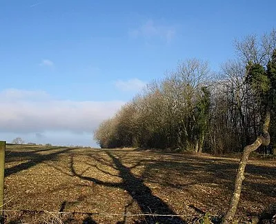 Hollowley Covert