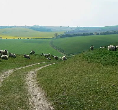 A view down Sugar Hill, near Liddington Warren