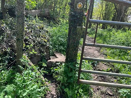 Stone Stile, Bisley