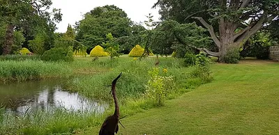 Lake, Manor by the Lake