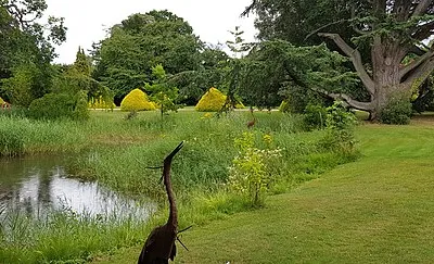 Lake, Manor by the Lake