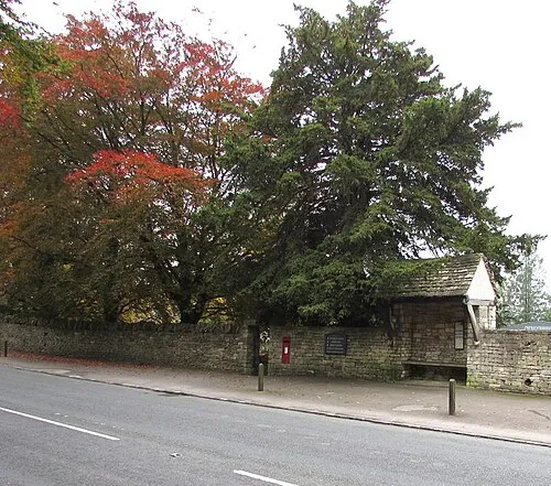 Autumn colours, Rodborough Common