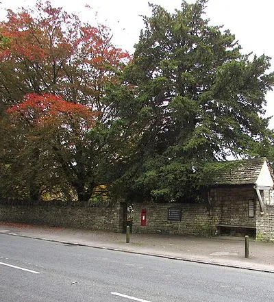 Autumn colours, Rodborough Common