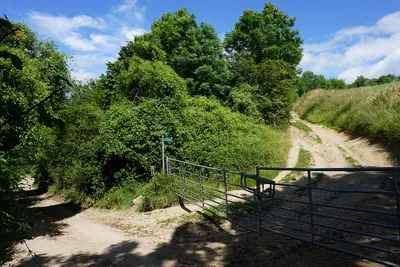 Bridleway off Sandpits Lane