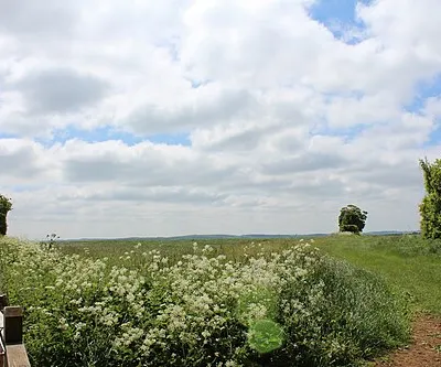 A Field next to Chipping Norton Road  (2)