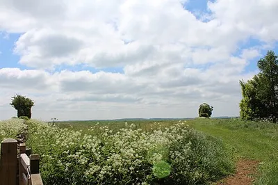 A Field next to Chipping Norton Road (2)