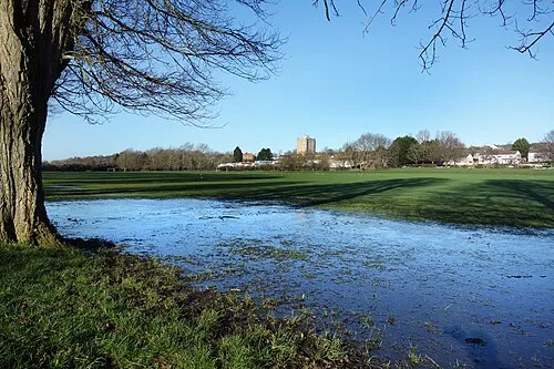 Seven Fields