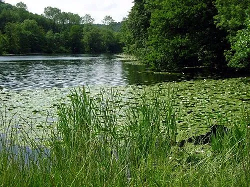 Woodchester Park