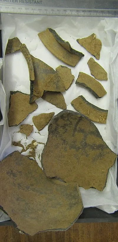 Treasure Report for H.M Coroner
2015 T656 - Vessel and bracelet hoard, from near Wakefield, West Yorkshire
To be known as the 'Brookfield Hoard' (named after the finders, at their request)
PAS no.: SWYOR-1494DB
Circumstances of Discovery 
On 13th September 2015, a group of Iron Age objects were found by [name redacted] while metal detecting at a 'Coil to the Soil' rally in North Elmsall, near Wakefield in West Yorkshire (grid reference provided). Amy Downes, Finds Liaison Officer for the Portable Antiquities Scheme in West Yorkshire, was able to attend the site within two hours of the discovery. The finds included a copper alloy strainer vessel, a pottery vessel, and five copper alloy bracelets - a single wire piece and two pairs in more robust designs. The finder reported that the strainer was found inverted on top of the upright pottery vessel, with the five bracelets underneath the pot. The four larger bracelets were interlinked at the bottom of the deposit, with the more delicate bracelet on top of them. These finds were lifted on the day of discovery. The pottery vessel collapsed during lifting.
Other finds, including Roman sestertii, were made in the same area by detectorists taking part in the rally, but these did not seem to be directly associated with the strainer hoard (see 2015 T658).
Archaeological Investigation
The day after the discovery, 14th September 2015, a team from West Yorkshire Archaeology Advisory Service (WYAAS) and Archaeological Services WYAS (ASWYAS) attended to carry out a small-scale excavation (ASWYAS Report No. 2804). A test pit measuring 2.15m x 1.50m was excavated by hand by archaeologists Ian McIntyre (ASWYAS) and David Hunter (WYAAS). This test pit was an expansion of several smaller pits dug on the previous day by members of the detecting club. A metal detector was used to comprehensively scan the test pit, spoil and surrounding area.
The test pit revealed a feature, thought to be a linear terminus or a pit. The upper fill contained large stones, possibly suggesting a packing material. It contained one sherd of Romano-British pottery along with animal bone, fired clay and iron nails. The lower fill contained Romano-British pottery sherds and one small piece of burnt bone. The feature was not excavated to its base. In total, the additional finds recovered as part of the archaeological excavation comprised 23 sherds of pottery, eleven bone fragments, four pieces of fired clay, an iron nail, and a possible piece of iron slag.
Due to the complexity of the underlying geology, and the digging which had occurred the previous day, it was not possible to ascertain with certainty whether the strainer hoard was from the same feature as the archaeological finds. However, given the rarity of Roman pottery in West Yorkshire, it is likely that the two could be linked (Hunter and Sanderson, pers. comm.). However, because they cannot be conclusively demonstrated to be part of the same find, the archaeological finds are not included in this Treasure report.
Description
1.Copper alloy strainer
A round-bottomed hemispherical bowl made of thin, copper alloy sheet. The wide, projecting rim has a separate binding-strip attached around the edge.
The bottom of the strainer bowl is decorated with small perforated holes, just over a millimetre in diameter, forming a decorative pattern centred on the base of the strainer. There are two concentric outer rings of holes and, in the centre, a triskele radiates outwards from a small central circle. The design covers around a third of the depth of the bowl, although this is much of the visible surface area when looking directly down into the strainer. The remaining surface area of the upper bowl is smooth and undecorated.
The strainer bowl is rimmed with a wide, flat flange. The bowl and flange were made from one sheet of copper alloy, either beaten into shape or turned on a lathe. Around the circumference of the flange a separate copper alloy binding strip has been added.
The strainer is mostly complete but has suffered plough damage to around a third of its side prior to discovery, in this area the rim has been torn away and the flange is heavily damaged. There is also some damage to the decoration on the base.
Parts of the outer side of the base have a rich, smooth, dark green patina. The rest of the surface is more corroded, both inside and outside the strainer, with areas of lighter green concretions.
There are also three detached fragments: two binding fragments and one section of flange. One binding fragment has a clean edge suggesting that this was the point on the circumference where the two ends of the binding strip met.
Measurements:
Maximum diameter of bowl (including flange): approx. 200 mm; width of binding: 5mm; depth of binding: 4 mm; thickness of binding in cross-section: 0.5-1.0 mm; width of flange (including binding): 25 mm; diameter of bowl (excluding flange): 151 mm; depth of strainer: 64 mm.
Diameter of outer circle of perforated holes: 95 mm; diameter of inner circle: 89 mm; diameter of central circle inside triskele: 20 mm.
Weight: 291g
Smallest binding fragment: Length: 24.5mm, Weight: 0.89g
Longest binding fragment: Length: 133mm, Weight: 12.72g
Flange fragment: Maximum remaining length: 48mm, Maximum remaining width: 29mm, Thickness in cross-section: 0.2-0.4mm, Weight: 3.63g
Parallels:
Hemispherical strainer vessels are rare finds. The closest parallel to the Brookfield hoard strainer is one from the Langstone hoard (NMGW-9C0216; Gwilt et al. Unpublished Treasure Report). Found near Newport, South Wales, in 2007, this hoard consisted of a strainer vessel and two metal bowls. A tankard was also found nearby. The Langstone strainer is similar in many respects to the Brookfield find: both are decorated with a triskele design, and have wide flanges. However, the Langstone strainer is slightly smaller, and has handles attached to both sides, whereas Brookfield has no handles. Langstone also has a simple up-turned rim, rather than a separate binding strip. The rendering of the triskele also differs, with the Langstone triskele depicted through the 'absence of perforations' in the base of the bowl, contrasting with the perforated design of Brookfield (Gwilt et al. Unpublished Treasure Report).
In his write-up of the Langstone hoard, Gwilt (Gwilt et al. Unpublished Treasure Report) lists several other comparable finds based on the corpus of broad-flanged strainers without handles published by Tomalin (1989). Three are from vessel hoards in Wales (finds from Manorbier and Cogyan Cave), one from a hoard at Helmsdale in Sutherland, north Scotland, and two single finds have been recovered: one from Marston Moor near York, and one from Thorpe, in Suffolk. The strainers from vessel hoards are associated with Romano-British style objects, such as trulleii and shallow bowls, which Tomalin (1989) used to suggest a date in the later first or early second century AD.
However, the Langstone strainer was found in conjunction with two Iron Age style bowls, of earlier date. As the strainer fits both bowls, it is believed all three functioned as a set. Gwilt uses this association to argue for pushing the dating of these strainers back to earlier in the first century AD. For the Langstone find, he suggests a date of AD 40-60 for manufacture, and burial in the period AD 40-75, around the time of the Roman campaigns in Wales (AD 47-78) (Gwilt et al. Unpublished Treasure Report).
Gwilt's dating is also borne out by his observation of the designs on the southern strainers, which are typical of conquest-period Celtic art. The Welsh strainers often combine indigenous decorative traditions with new Romano-British style designs, incorporating various combinations of triskeles, running-scrolls and geometric border decoration of infilled triangles. The Thorpe strainer, a single find from Suffolk, does not feature a triskele, but nevertheless does have a 'triple' element to its design. Most of the bowl was destroyed during gravel extraction, but enough survives that the design can be reconstructed to view the perforated outline of three circles at the top of the bowl. This potentially echoes the triskele design on the Langstone (Gwilt et al. Unpublished Treasure Report) and, now, the Brookfield strainer.
The Brookfield strainer, with its triskele design, seems to fit best with this group of early strainers identified by Gwilt, suggesting a date of manufacture around the mid-first century AD. The two other northern strainers, from Helmsdale, Sutherland (Curle 1931) and Marston Moor Yorkshire (Tomalin 1989) are probably of later date. Their bowls are decorated with Romano-British style flower patterns, and their flanges are either punched (Marston Moor) or impressed (Helmsdale) with motifs. These two strainers likely date to around AD 80 -120 (Gwilt et al. Unpublished Treasure Report).
2. Copper alloy ribbed bracelet
Penannular copper alloy bracelet, D-shaped in cross-section with flatter side on interior. Terminals are flat sections through the bracelet with no additional decoration. Terminals more oval than the D-shaped cross-section of the rest of the bracelet. This may suggest that continued wear changed the overall cross-section at the back. Smooth on interior surface with a central line, suggesting possible rolled construction. Outer surface is decorated with ribbed decoration. Raised transverse ribs (approx. 3mm wide) alternate with lower ridges of beaded decoration (approx. 1mm wide). There are 38 bands of decoration. Green patination, with some evidence of wear and polishing on both the interior and exterior near the middle of the bracelet, predominantly on one side.
Measurements: Max diameter 85 mm; internal diameter 66 mm; Terminals: 12 mm by 9.5 mm and 14 mm by 9 mm; width in cross-section 8.5-10 mm; weight: 158.3g
3. Copper alloy ribbed bracelet
Penannular copper alloy bracelet, oval in cross-section with slightly flatter side on interior. Terminals are flat sections through the bracelet with no additional decoration. Outer surface is decorated with ribbed decoration. Raised transverse ribs (approx. 3mm wide) alternate with lower ridges of beaded decoration (approx. 1mm wide). There are 39 bands of decoration. Green patination, with little evidence of wear, although there is some polishing on external surface near one of the terminals.
Max diameter 85 mm; internal diameter 65 mm; Terminals: 12 mm by 9 mm and 13 mm by 9mm; width in cross-section 8.5-10 mm; weight: 154.8g
4. Copper alloy heavily worn, ribbed bracelet
Penannular copper alloy bracelet, lentoid in cross-section at the terminals, swelling to a more D-shaped cross-section at the back. Terminals are flat sections through the bracelet with no additional decoration. Outer surface is decorated with almost erased, heavily worn ribbed decoration. Raised transverse ribs (approx. 3-4mm wide) alternate with lower ridges of (?)beaded decoration (approx. 1mm wide). Green patination.
Max diameter 73.5 mm; internal diameter 65.5mm; Terminals: 9.5 mm by 4 mm and 10 mm by 4 mm; width in cross-section 3.5-5.5 mm; weight: 51.1g
5. Copper alloy heavily worn, ribbed bracelet
Penannular copper alloy bracelet, lentoid in cross-section at the terminals, swelling to a more D-shaped cross-section at the back. Terminals are flat sections through the bracelet with no additional decoration. Outer surface is decorated with almost erased, heavily worn ribbed decoration. Raised transverse ribs (approx. 3-4mm wide) alternate with lower ridges of beaded decoration (approx. 1mm wide). Green patination.
Max diameter 71 mm; internal diameter 63 mm; Terminals: 9.5 mm by 4.5 mm and 10 mm by 4 mm; width in cross-section 3.5-5.5 mm; weight: 50.8g
Parallels
There are no direct parallels for the four Brookfield hoard bracelets. However there are close similarities to other finds from Britain, several of which are from graves. The design of raised transverse ribs and alternating beaded decoration is most similar to two bracelets found at the Kings Barrow, North Staffordshire (Lock et al., 2014, 86). There are also close parallels to bracelets from South Ferriby in Lincolnshire (May, J. 1976. fig 66, 5). Another bracelet similar to the South Ferriby example was found at Mount Batten, near Plymouth. These bracelets all have a circular shape and a hinging mechanism, either mortice and tenon or catch, which is absent from the Brookfield bracelets.
These examples were all viewed as having evolved from Halstatt and early La Tène continental bracelet types of the fourth to third century BC (May 1976, 125; Lock et al, 2014, 85). Cunliffe (1988, 61-2) suggested that the Mount Batten bracelet might be an import, owing to its high lead content.
There are certainly close continental parallels for these bracelet types, including examples in the British Museum's Morel Collection from North Eastern France (Stead and Rigby 1999, pl 112). These ribbed bronze bracelets also have undefined terminals but none have the beaded separators found on the Brookfield bracelets.
However, there is nothing to suggest that the Brookfield bracelets are themselves imports. They could equally be of local manufacture. Indeed, the closest parallels to both form and design of Brookfield hoard bracelets are those found in Arras burials of Yorkshire dating to the late third to first centuries BC. Arras W43 is circular and without a hinging mechanism. The transverse ribs are separated by undecorated cuts instead of the beaded ridges seen at Brookfield. The inner surface of the bracelet is smooth and the terminals are slightly off centre when they meet (Arras W.43, Stead 1979, p74 fig 28.2). (Stead 1965, p52 fig 29. 3) Arras 5b (Stead 1965, p51 fig 28.1) also has undecorated dividers for the transverse ribs but the transverse ribs are more ovoid in shape.
6. Slim copper alloy wire bracelet with wound fastening
Circular copper alloy bracelet with square cross-section, broken into three pieces. At one point on the circumference, the two ends meet in a form of clasp or fastening, now broken. Possibly this has been constructed by wrapping the tapering ends of the bracelet around each other. The shortest piece comprises a short arc of the main section of the bracelet. The longer two pieces are separated at the clasp or fastening. On the longer piece all that remains of the fastening is the tapering end of the square-section wire, protruding approximately 6 mm from a tightly wrapped coil of rectangular-section wire. There are four complete turns to the coil. The broken tapering end originally joined a length of wire protruding from the other side of the fastening. This appears to form a flattened loop before coiling tightly around the opposite end of the square-sectioned wire bracelet. There are also four complete surviving turns. On this side, the tapering length of the square-section wire which protrudes from the coil curls back on itself, forming a U-shape. Whilst not all of the wire has been preserved, the remaining parts suggest that this was a permanently secured fastening, decorated in the middle with a series of loops. Only parts of two loops have survived but it is possible there were more.
Some areas of the surface have a smooth dark green patina but others have lighter green corrosion product.
Measurements: Maximum diameter 95 mm; width in cross-section of bracelet 2.6-2.9 mm; diameter in cross-section of the coiled fastening 6.2 mm;
Shortest piece: length 50 mm; weight 2.2g.
Shortest piece with a clasp: length 73 mm; weight 4.9g.
Longest piece, with clasp: length 94 mm, weight: 8.0g.
Total weight: 15.1g.
Parallels:
The closest parallel for this bracelet comes from Vindolanda (Birley and Greene p139, 140 cat. SF9025). On this complete object, the joining section (missing on the Brookfield example) is an elaborate series of loops, which had been broken at one end, and repaired in antiquity. The Vindolanda bracelet does not have the square section of the Brookfield example but is otherwise very similar in form. The bracelet is identified as a 'very elaborate style of a Type 8 bracelet, South Shields, Tyne and Wear' (Birley and Greene p139, 140 cat SF9025, Type 8 to be found in Allason-Jones and Miket 1984: 126). The bracelet is dated to period IV (c. AD105 to c. AD122) at the fort.
Another potential parallel was found at Mount Batten, Plymouth, the body was made of twisted wire but it had a similar catch mechanism. This example was dated only as 'Roman?' (Cunliffe 1988, p62 fig 33.64).
7. Pottery vessel
Heavily fragmented globular vessel, narrowing towards the neck, and with wide, everted rim. Black sandy fabric with some buff/greyish areas, some white inclusions.
Rim can be largely reconstructed as can large parts of the body. The base appears to be heavily fragmented or missing.
The size of the strainer relative to the pot means that the strainer could have rested flat on the top. However this does not appear to have been the case. On one body sherd there is an area of greenish corrosion that corresponds to one of the areas of damage on the strainer, where the top of the bowl meets the inner edge of the flange. This suggests that the strainer had been lying inverted at an angle across the top of the pot, touching the side of the pot rather than the rim. The location of this area of damage on the strainer, directly opposite the plough damage, suggests that the strainer could have been knocked into this position by the plough.
A soil sample from inside the pot has been preserved. There are no obvious inclusions of animal bone or cremated bone but this would benefit from further study.
Measurements: Rim diameter: approx. 170 mm; widest part of pot: approx. 180 mm
Weight: approximately 910g.
Weight of soil sample from inside pot: approx. 600g.
Discussion
The Brookfield hoard most likely dates to the first century AD, based upon the objects within the hoard and the dating of similar hoards. However it may have been buried as late as the early second century.
Its location in north-central England is unusual, as only one other object hoard has been found in the area from the period 800 BC - AD 100. The only other object hoard known from this part of Yorkshire, the Honley hoard, was discovered c.12 miles away. The Honley hoard was buried at a similar time, around the end of the first century AD, but the hoard is very different in nature. It contains coins, a brooch, and strap fittings amongst other items. However, the region sees several coin hoards buried from the Iron Age onwards.
Generally the strainers are assumed to have been used for preparing and serving wine, or perhaps other alcoholic beverages. Strainers may also have had a medicinal purpose; an example included with the 'Doctor's' grave in Colchester had residue of Artemisia, commonly used for healing/remedies (Crummy 2007). The inclusion of a complete pottery vessel within an object hoard is unusual and may suggest that the strainer and pot were used together.
The five bracelets demonstrate a range of different influences; there are two pairs of Iron Age bracelets, and one later thinner-style piece most likely dated to the Roman period. One pair of Iron Age bracelets been heavily worn perhaps suggesting an 'heirloom' pair, and a less worn, potentially newer pair. Despite their differing patterns of wear, the bracelets are almost identical and closely resemble styles found in Iron Age graves in Yorkshire and Lincolnshire, potentially dating to the third or second century BC. At least 200 years earlier than the latest objects in the hoard. This contrast is heightened by the fifth Roman-style bracelet whose closest parallel was found at the Roman fort of Vindolanda. This combination of types is mirrored by the form and decoration of the strainer. The strainer form is Roman but the perforated pattern suggests Iron Age influences.
The composition of the Brookfield hoard is unusual; the mixing of personal ornaments and vessels is more commonly seen in grave goods, rather than hoards. However, the excavation of the surrounding area found no evidence of human bone, cremated or otherwise. Whilst the bracelets fit well with general Yorkshire/Lincolnshire distribution of the ribbed bracelet types, it is unusual to find them in a hoard context. The strainer itself is an unusual object, but fits with a pattern of similar finds from around the edges of the core Romano-British heartlands of the south-east. Overall, the Brookfield hoard can be seen as part of a wider conquest-period phenomenon which sees the mixing of local and Roman styles and ideas about dress and food preparation. The unusual aspect, in this case, is the hoard composition and the great time depth represented.
Conclusion
These finds represent a prehistoric base-metal assemblage, since at least 4 of the objects (the ribbed bracelets) can be securely assigned an Iron Age date, and the assemblage was probably buried around or before the time of the Roman conquest of the area. The group therefore qualifies as Treasure under the stipulations of the Treasure (Designation) Order 2002.
Potential Acquisition:
Wakefield Museum Services hope to acquire this find. They would also be the museum service to take receipt of the archive and finds from the archaeological investigation. For the purposes of future study, it would be useful for this material to be held by the same institution.
Julia Farley,
Curator of Iron Age Collections,
British Museum
Rachel Wilkinson
CDA Student,
British Museum and University of Leicester
16th January 2018