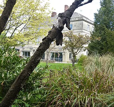 A walk through Cirencester Park and Stratton [29]