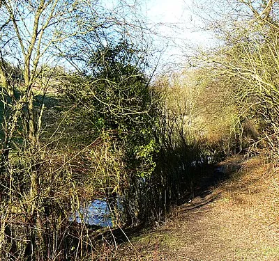 Near the Thames and Severn canal, Siccaridge Wood The canal, long disused, can be seen at the left. The viewpoint is the western extremity of Siccaridge Wood looking towards Tanner's Wood.