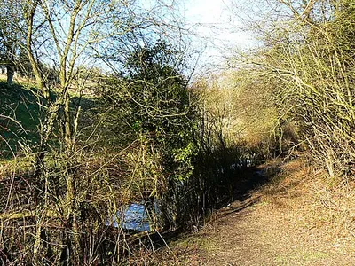 Near the Thames and Severn canal, Siccaridge Wood The canal, long disused, can be seen at the left. The viewpoint is the western extremity of Siccaridge Wood looking towards Tanner's Wood.