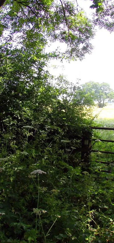 A footpath at Williamscot