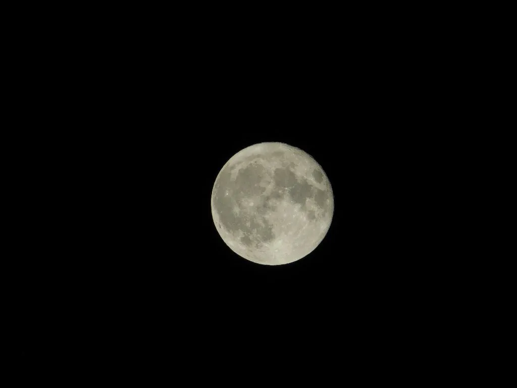 A Hunter's Moon
