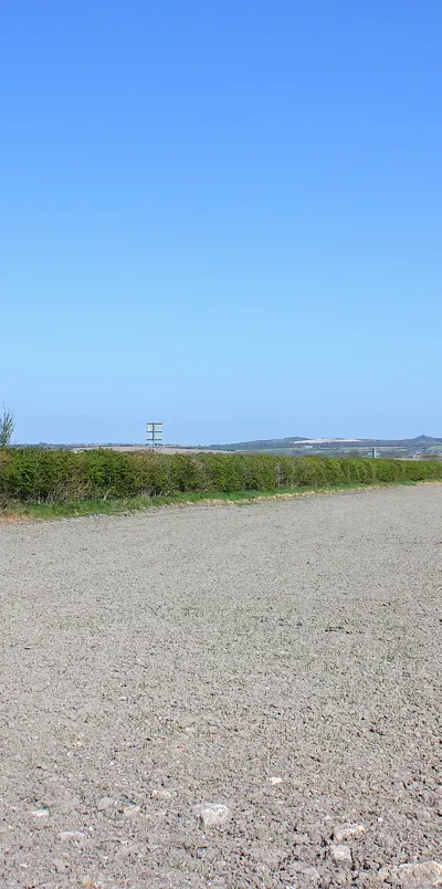 Big Field
