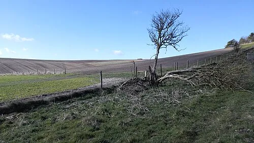 Farmland