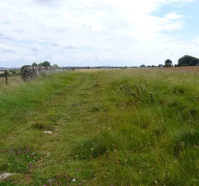 Along the field edge