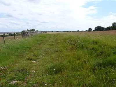 Along the field edge