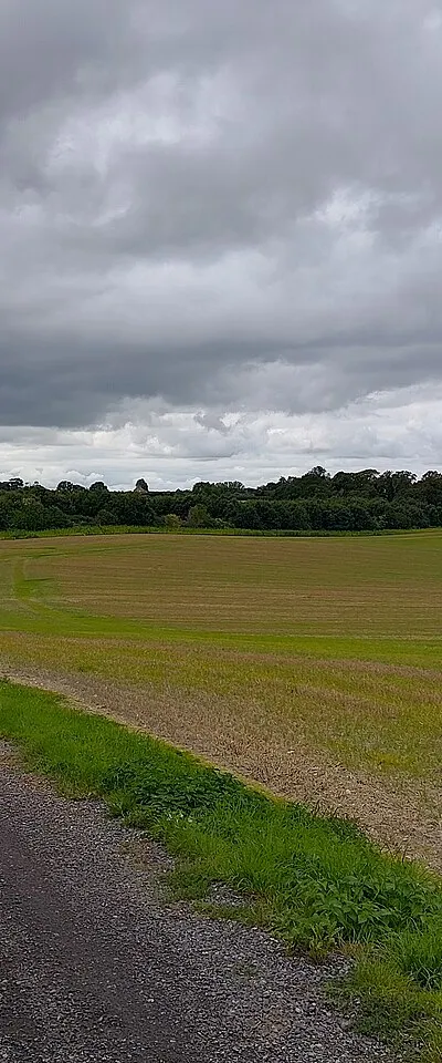 Bridleway towards Elcot