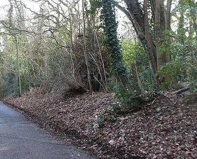 Bayworth Lane, Boars Hill