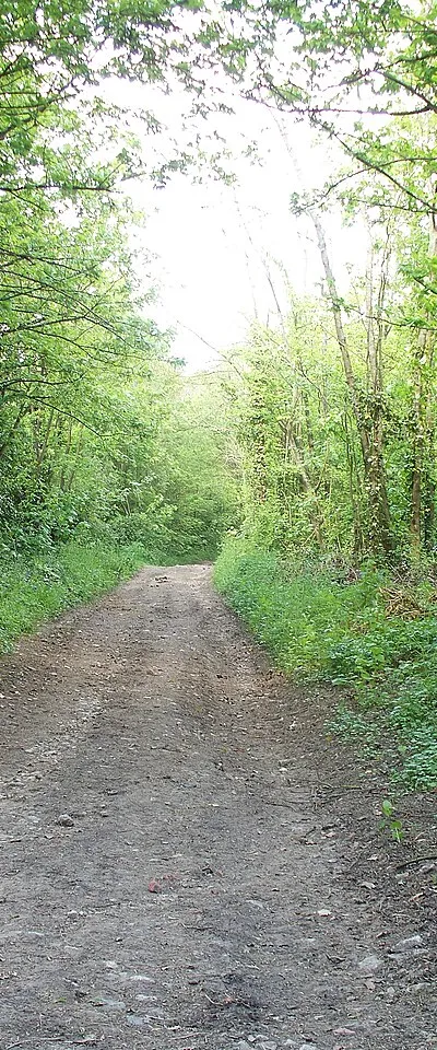 Bridleway to Pebbly Hill [1]