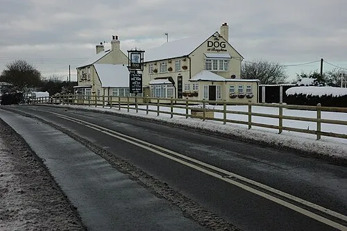 The Dog, Baughton
