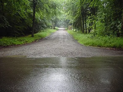 A Track off Grand Avenue in Savenake Forest. This photo was taken from about the centre of the square, it is one of the many tracks off Grand Avenue in the very picturesque Savenake Forest.