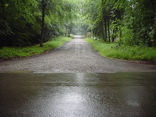 A Track off Grand Avenue in Savenake Forest. This photo was taken from about the centre of the square, it is one of the many tracks off Grand Avenue in the very picturesque Savenake Forest.