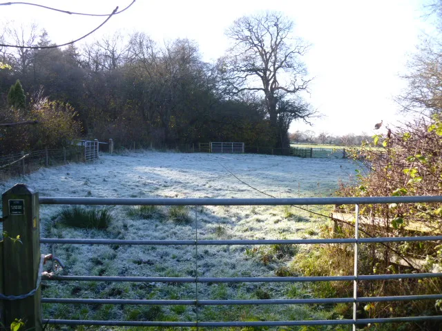 Across the frosty field