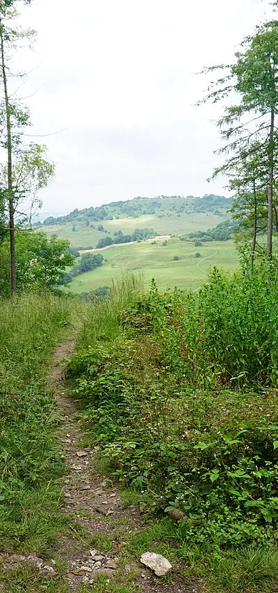 A rare break in the trees in Standish Wood