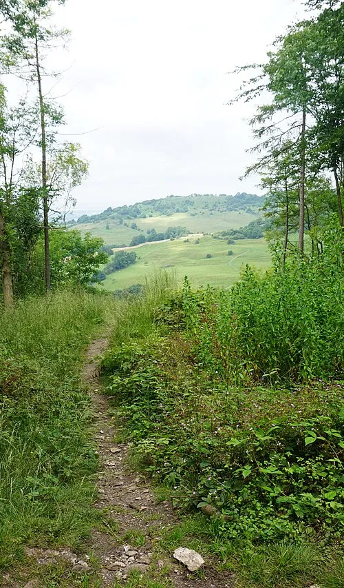 Oxlinch