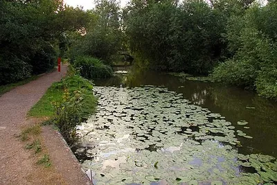 Abbey Stream at Abingdon