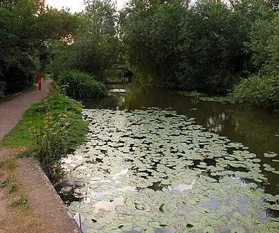 Abbey Stream at Abingdon