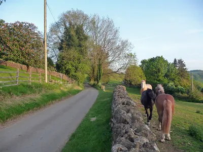Country road, Farmcote (1)