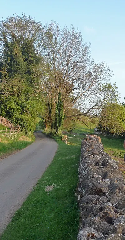 Country road, Farmcote (1)