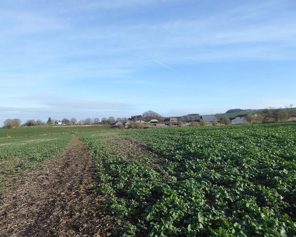 Approaching Odstone Farm