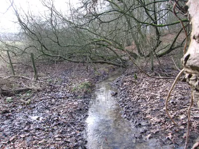 Brook near Cockleford