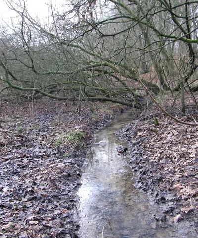 Brook near Cockleford