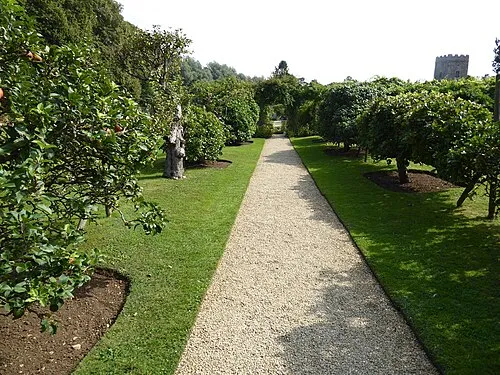 Apple trees at Rousham